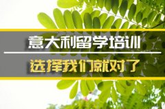 雅安意大利留学机构 