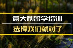 广西去意大利留学中介 