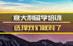 宁夏去意大利留学中介 