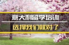 芜湖意大利留学机构 