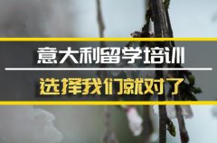 湖南去意大利留学中介 