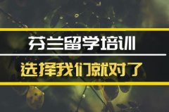 揭阳去芬兰留学中介 