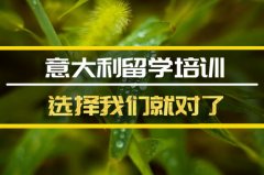 大理去意大利留学中介 