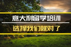 丽水去意大利留学中介 
