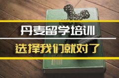 乌兰察布去丹麦留学中介�