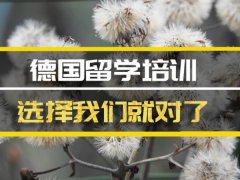 鹤岗去德国留学中介�