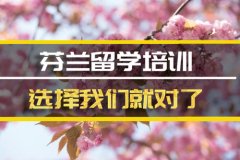 宜春去芬兰留学中介 