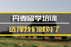 黄石丹麦留学机构 