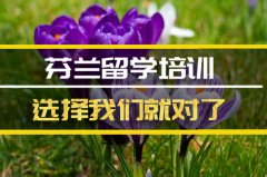 日照去芬兰留学中介 