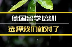 韶关去德国留学中介 