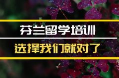 江门芬兰留学机构 