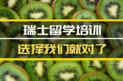 辽阳瑞士留学机构 