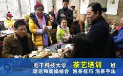 成都电子科大零基础学茶艺，茶艺表演,管理技能，随到随学