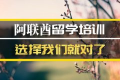 红河去阿联酋留学中介 