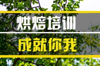 安阳烘焙技术培训班哪家好？，烘焙技能培训机构