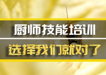 三亚厨师机构培训班地址，厨师机构培训机构哪家好？