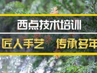 喀什西餐培训机构地址