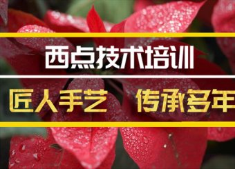 喀什西点技能培训机构