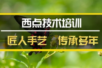 韶关西点技术培训机构地址