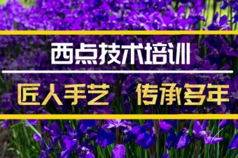 韶关西点技能培训机构地址