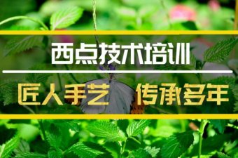 温州西点培训班地址，西点培训机构哪家好？