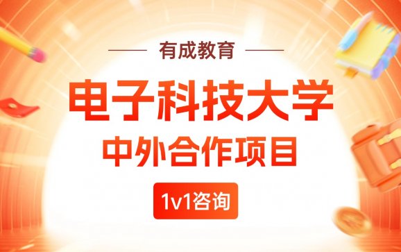 中外中外合作项目  有成教育