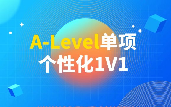 A-Level单项个性化1V1  南京新航道