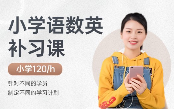 小学语数英补习课   郑州爱竞优