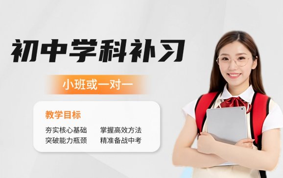 初中学科补习  郑州爱竞优