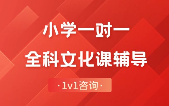 北京小学一对一全科文化课辅导（北京博育教育）