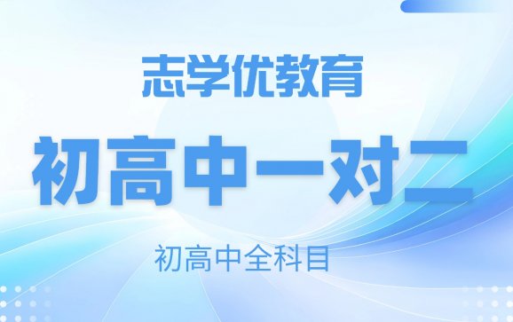 成都初高中一对二学科补习（志学优教育）