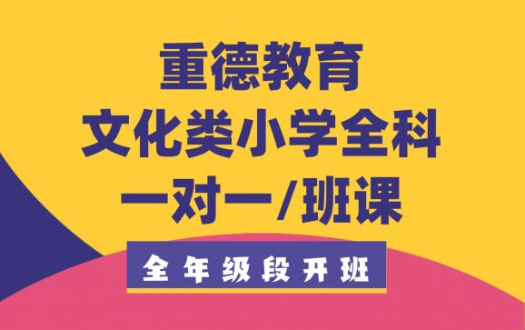 金华文化类小学全科一对一/班课（重德教育）