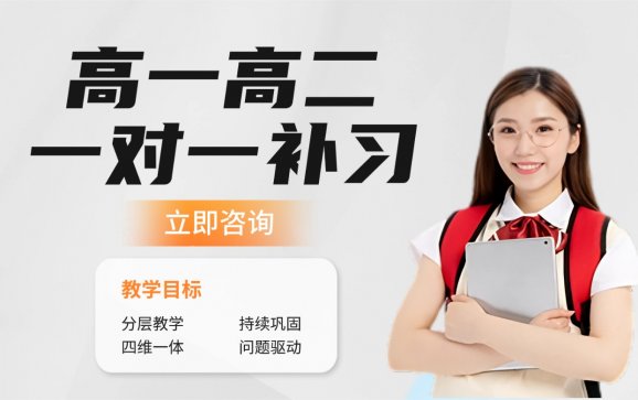 石家庄高一高二一对一补习【巅峰育人艺术文化培训学校 】