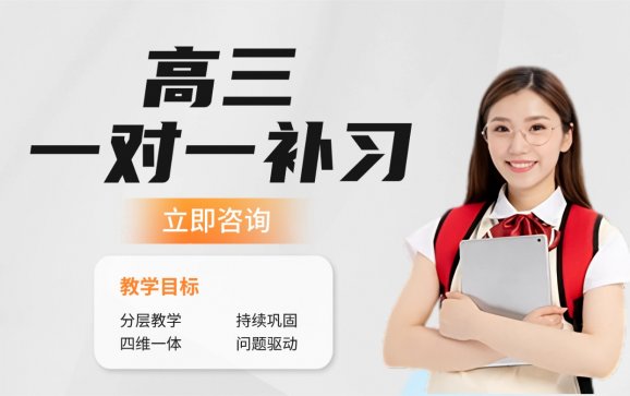 石家庄高三一对一补习【巅峰育人艺术文化培训学校 】