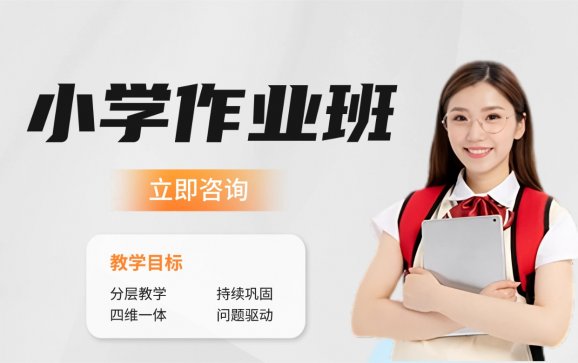 石家庄小学作业班【巅峰育人艺术文化培训学校 】
