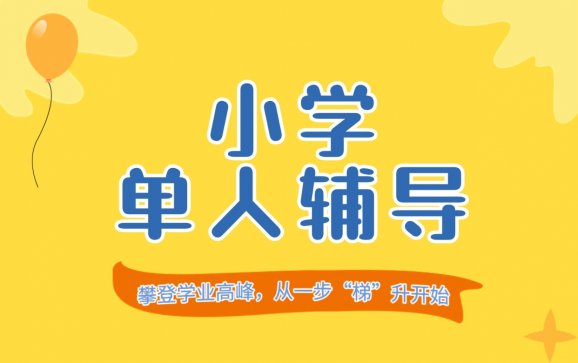 贵州小学单人辅导(贵州云梯教育)