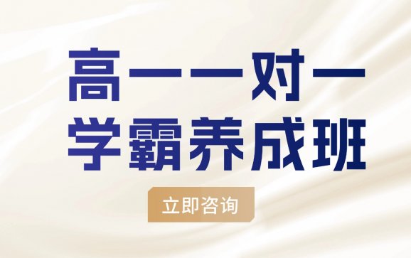 北京高一一对一学霸养成班（学达教育）