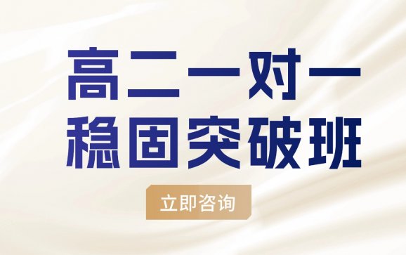 北京高二一对一稳固突破班（学达教育）