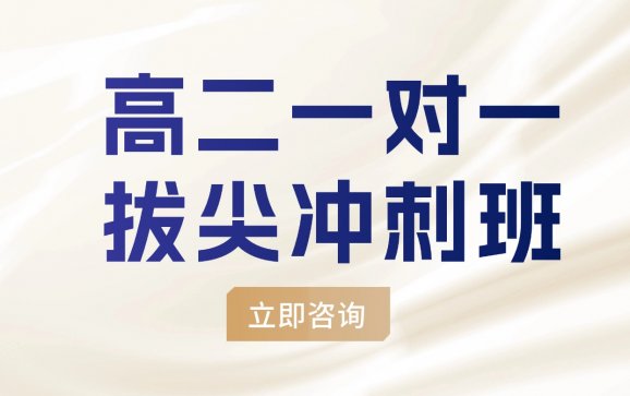 北京高二一对一拔尖冲刺班（学达教育）