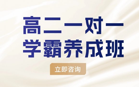 北京高二一对一学霸养成班（学达教育）