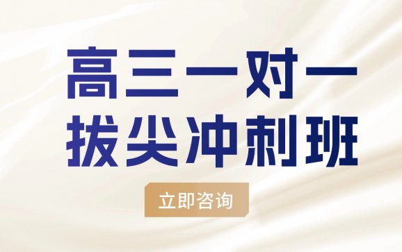 苏州高三一对一拔尖冲刺班(学达教育)