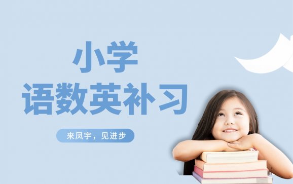 日照小学语数英补习（凤宇教育）