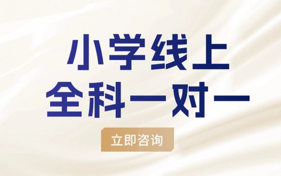 全国线上小学全科一对一（慧思教育）