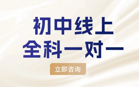 全国线上初中全科一对一（慧思教育）