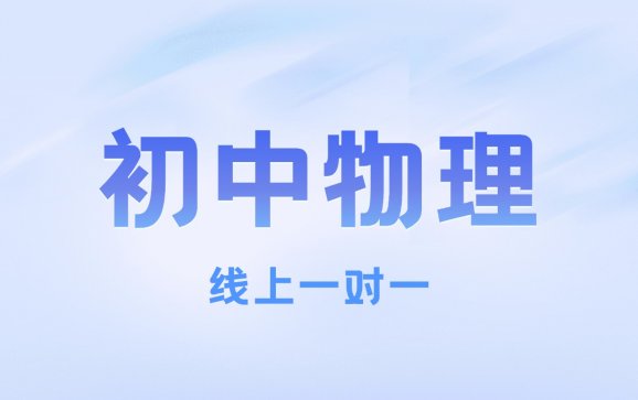 全国线上初中物理一对一(灵动优学教育 )