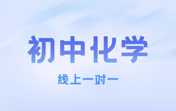 全国线上初中化学一对一(灵动优学教育 )