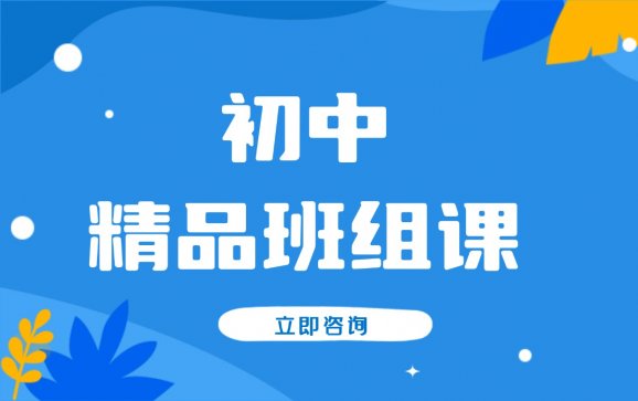 安阳初中精品班组课（智唯伴学教育）
