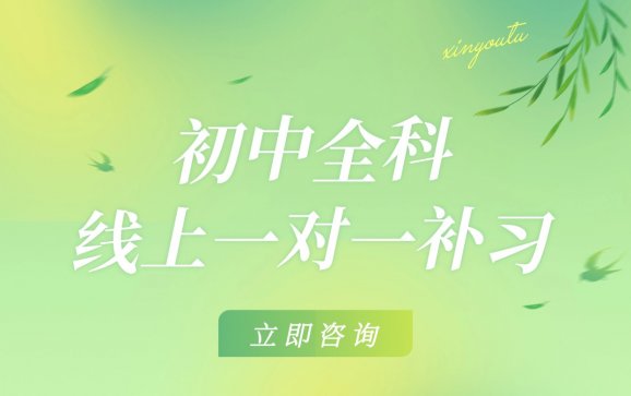 全国初中全科线上一对一补习（新优途教育）