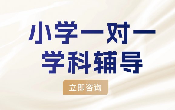 南京小学一对一学科辅导（金博教育）