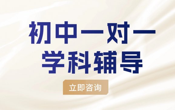 南京初中一对一学科辅导（金博教育）